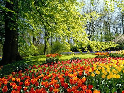 Comienza la Primavera en el hemisferio Sur