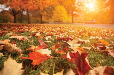 Se adelantó el otoño y comenzó un día antes este año