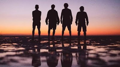 En Santa Teresita se presenta el documental “Buscando a las toninas”