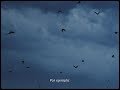 Fresca canción instrumental: Blau adelanta su nuevo disco