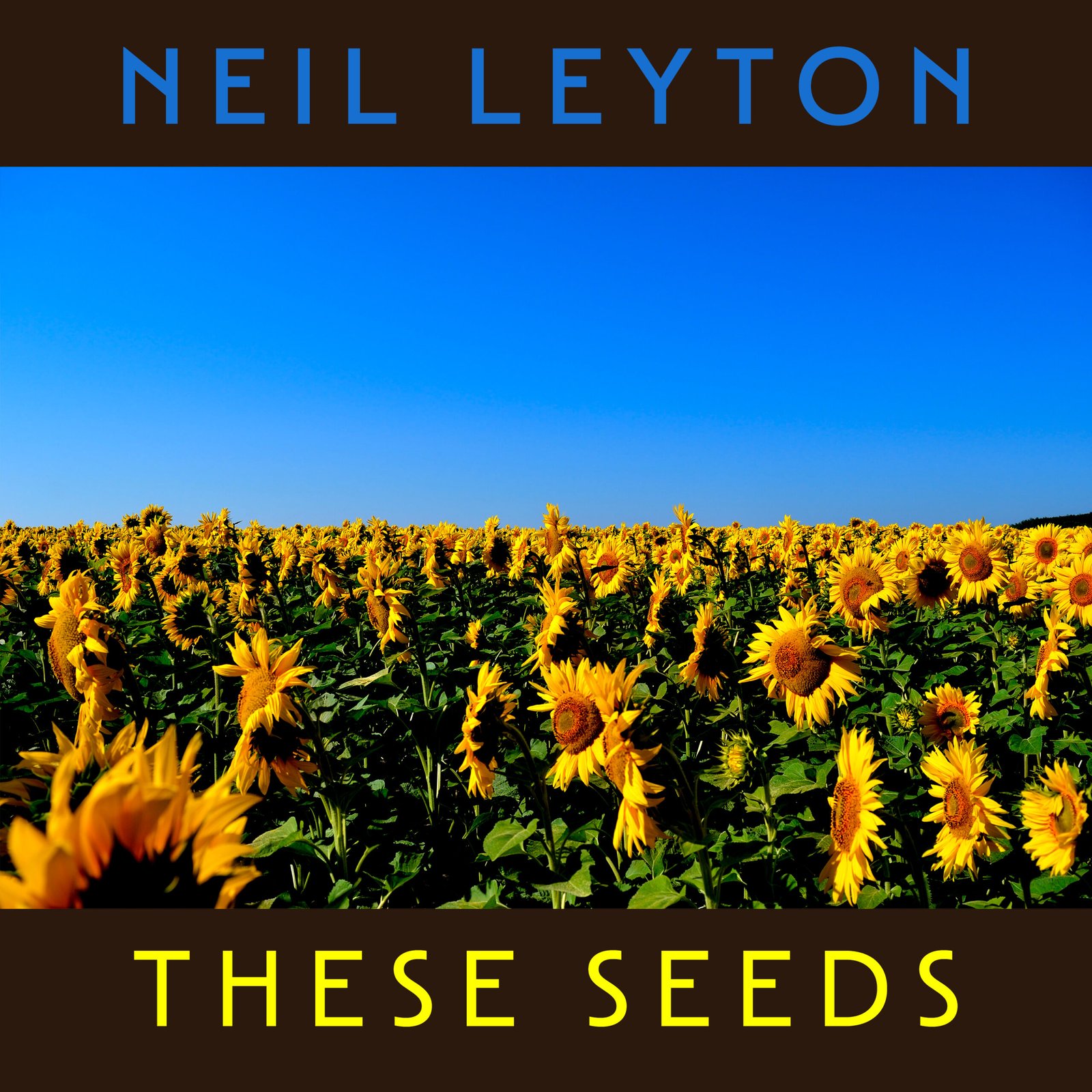 Neil Leyton presenta “These Seeds”, una reflexión cruda y emotiva sobre un mundo en guerra