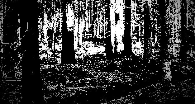 La banda rumana de black metal Funeral Baptism anuncia la fecha de lanzamiento de su nuevo álbum «In Solitudine» y revela un nuevo sencillo